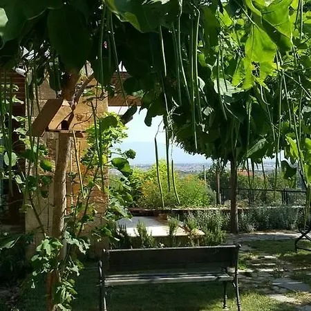 Daidalos